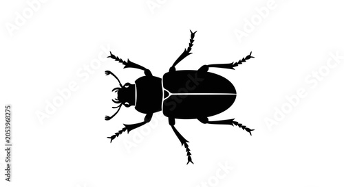 Foto Black silhouette of a beetle insect.