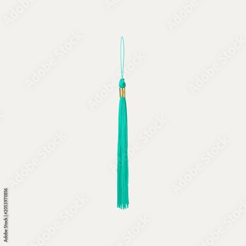 Obraz na plátně Single teal tassel isolated on white background