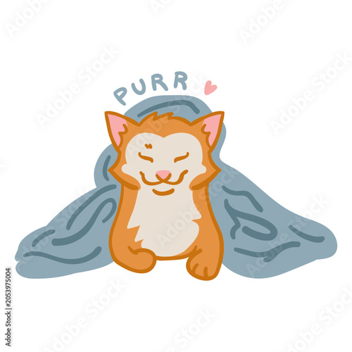 Slika na platnu Cute cat purr