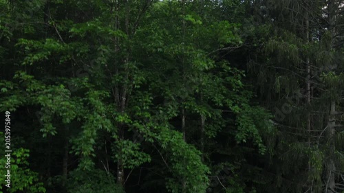 Aerial drone view of beautiful summer mountains peak and green forest at evening time. Warm sunsets over horizon during dusk or dawn hours. Peaceful nature and outdoor camping vibes