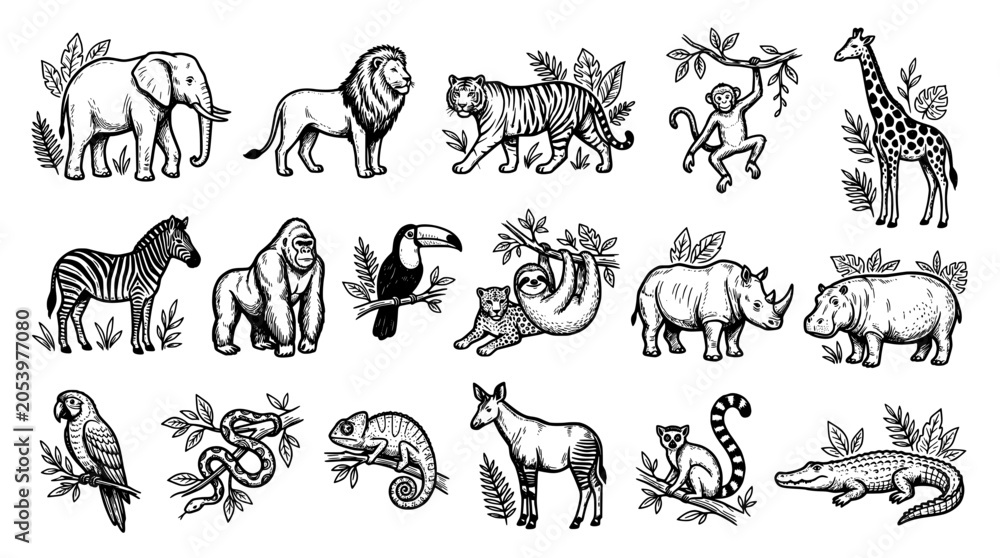 Fototapeta premium Set of wild animals, jungle and safari wildlife, hand drawn vector illustration