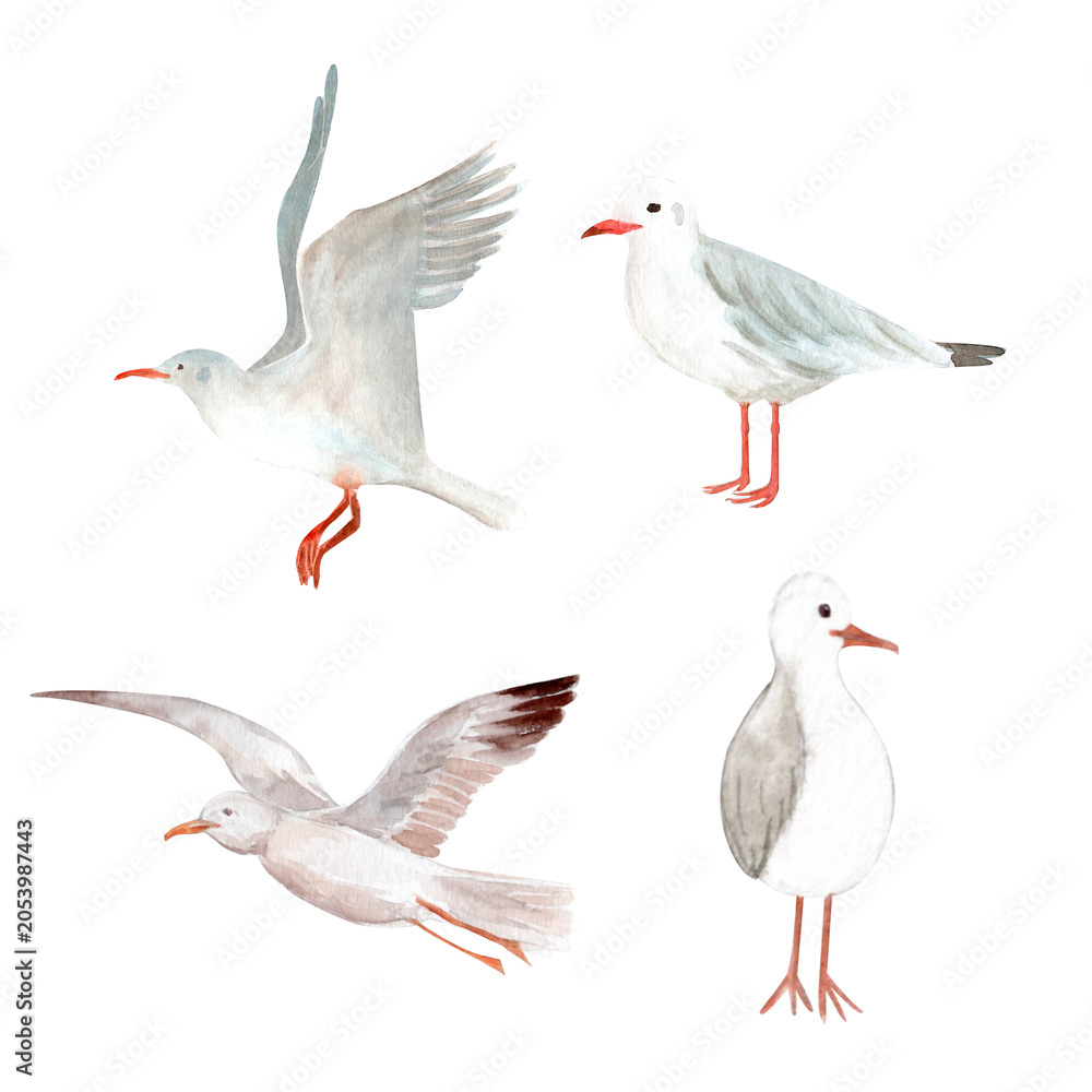 Fototapeta premium Watercolor seagull clipart set featuring flying, standing coastal birds. Hand painted nautical collection for beach themed designs, nursery decor, stationery, textiles, invitations, coastal projects