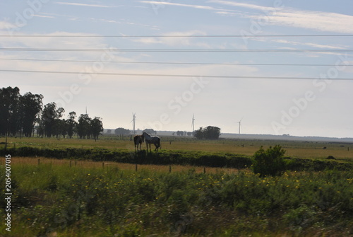 uruguai
