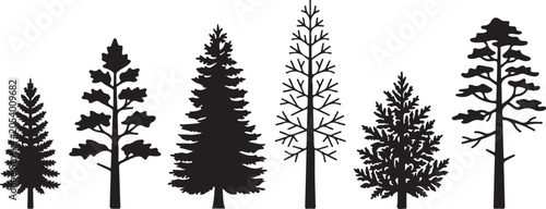 Collection of diverse evergreen and deciduous tree silhouettes isolated on transparent background