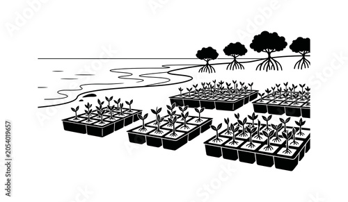 Konstfotografi Mangrove Seedling Nursery Restoration Project with Young Saplings in Trays Near