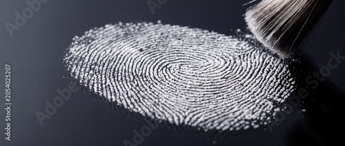 Canvastavla Fingerprint pattern revealed with white powder and dusting brush on dark reflect