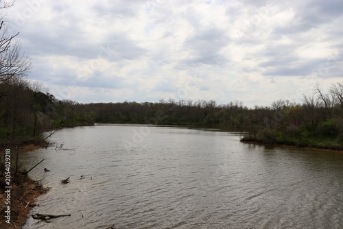 The lake in the woods on a cloudy spring day.
