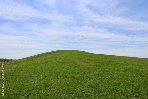 The green grass hill the blue sky in the background.