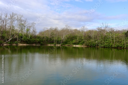 The quiet pond in the park on a sunny day.
