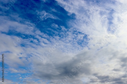 The white cloud in the blue sky.