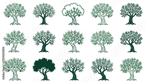 Olive tree icon set in various flat vector styles