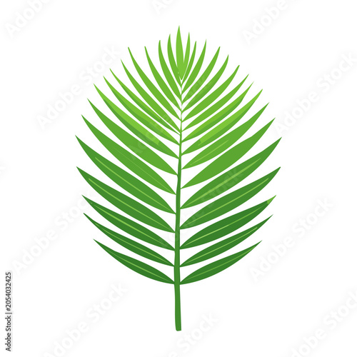 Flat design palm leaf vector illustration