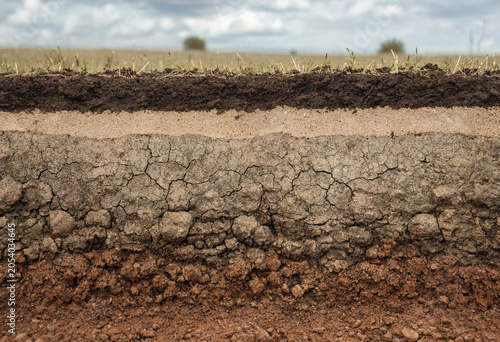 Photos Cross section of earth showing soil layers with grass on dark brown organic matt