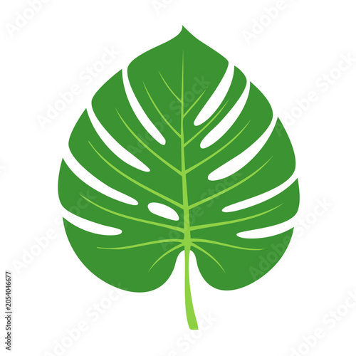 Monstera Leaf Flat Vector Illustration