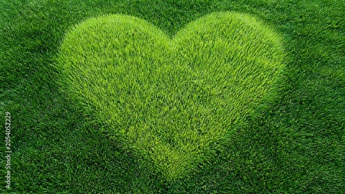 Green Grass Heart Shape Natural Outdoor Landscape
