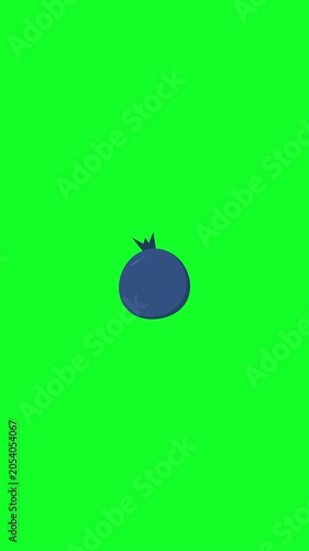 Blueberry Fruit Green Screen Animation