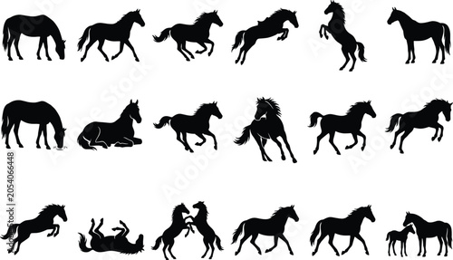 Bild auf Leinwand Horse Silhouette Collection Vector Set Featuring Running Grazing Rearing Walking
