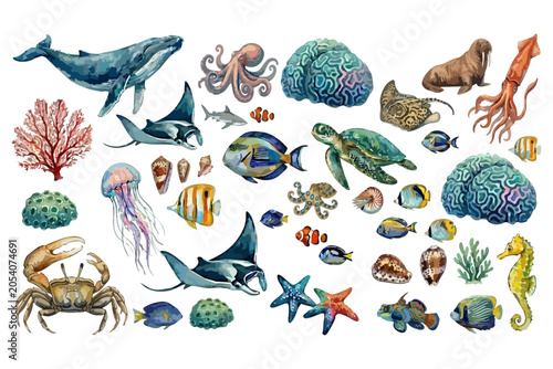 Ocean Wildlife Watercolor Marine Animals Underwater Vector Set