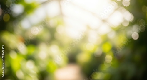Abstract Green Bokeh Background with Sun Flare and Blurry Nature.