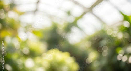 Abstract Blurred Green Foliage and Bright Sunlight Through a Glass Roof.