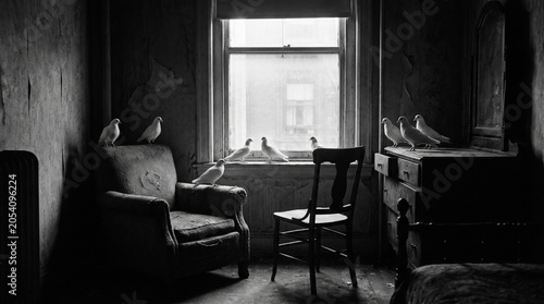 Dirty room in an old hotel in New York in 19th century with armchair and pigeons inside