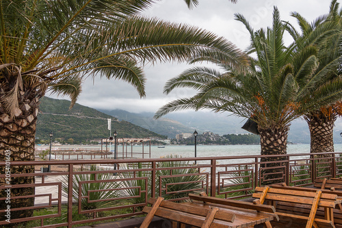 Palm trees on Budva's waterfront. Cafe on the Adriatic Sea coast in Montenegro