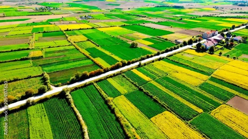 Aerial view of colorful farm fields and agricultural land with a narrow road crossing through