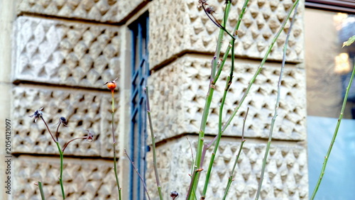 Natur und Architektur