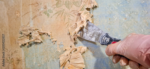Obraz na płótnie Worker scraping off old vintage wallpaper from wall with spatula.