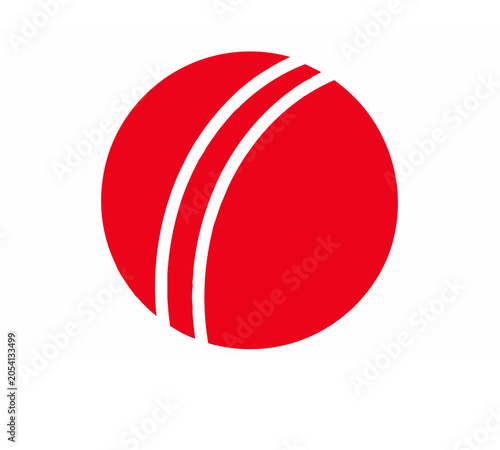 cricket ball vector
