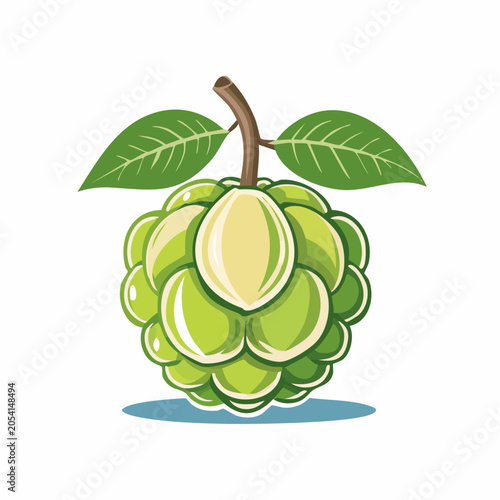Custard Apple Illustration