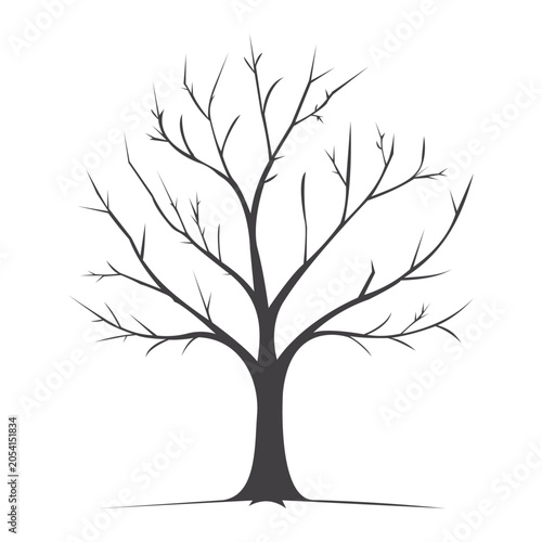 Minimalist leafless tree silhouette vector isolated on a light transparent  background