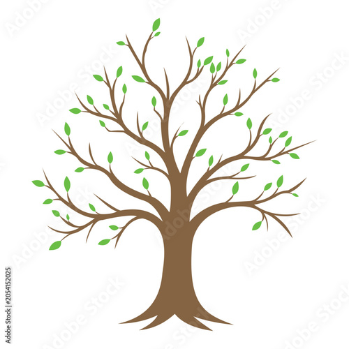 Stylized leafy tree vector illustration