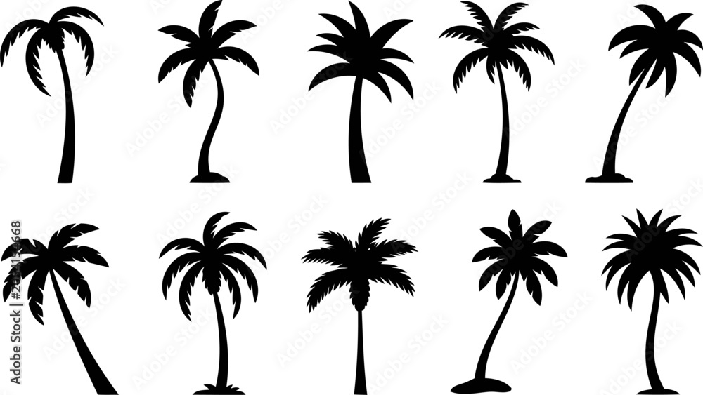 Naklejka premium Black palm tree silhouettes, tropical icons, palm tree set, vector graphics