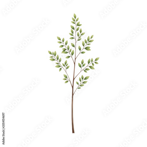 Simple green parsley plant illustration