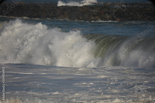 bodyboarder riding large swell waves at the wedge