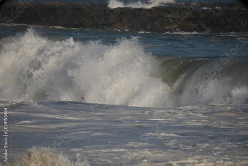 bodyboarder riding large swell waves at the wedge
