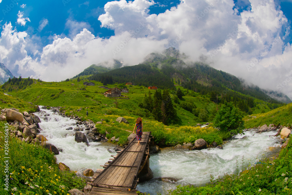 Fototapeta premium Elevit Plateau, formerly known as Yezovit Plateau, is a plateau located in the Çamlıhemşin district of Rize province.