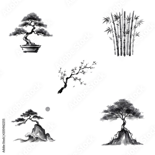 Set of traditional ink wash paintings of bonsai trees and bamboo isolated on transparent background