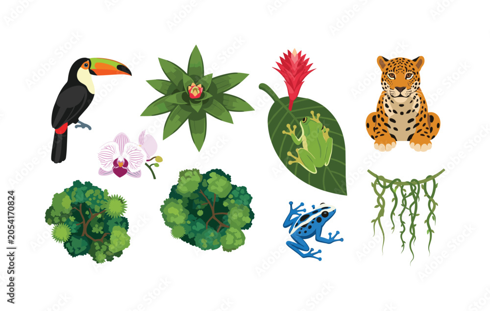Fototapeta premium Vibrant jungle elements including toucan, jaguar, orchids, and tropical frogs