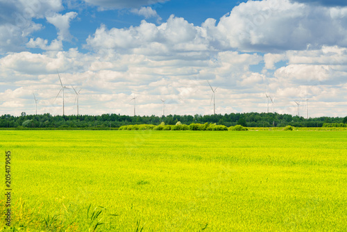 Green agricultural field and wind turbines under a cloudy blue sky