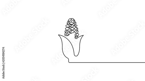Title: Corn on the cob continuous line drawing animation representing organic food production. Minimal line art animation of fresh corn on the cob silhouette on a white background.