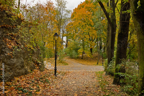 An autumn park with paths strewn with yellow leaves. Landscape with autumn trees and a lantern