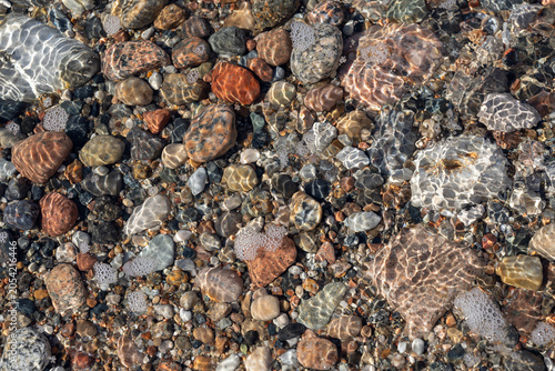 Photos Top view of pebbles under clear water with sunlight reflections