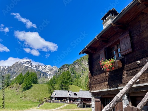 Panoramic view of the traditional hamlet Crampiolo in Parco Naturale Veglia-Devero, Val d'Ossola, Italy.