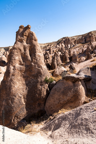 vertical photography of the famous geological formations formed by erosion in the Devrent Valley in Cappadocia on a summer day.