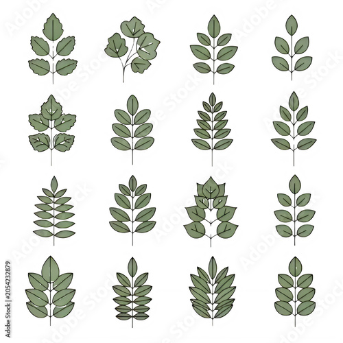 Set of assorted green leaf illustrations for botanical design with botanical collection illustration isolated decoration environment