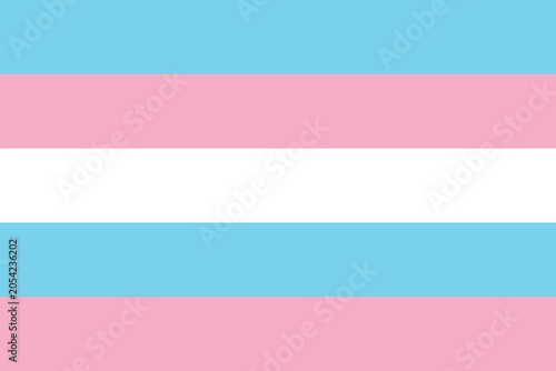 Obraz na plátne A horizontal striped flag representing the transgender community, featuring shades of blue, white and pink