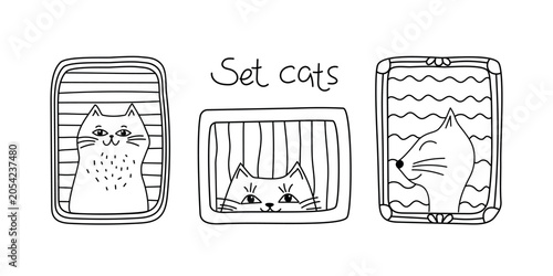 Photo frame with cats. Hand-drawn pets. Simple frames, borders. Drawing, doodle. Gallery, nostalgic photo with kitten muzzle, hand lettering.