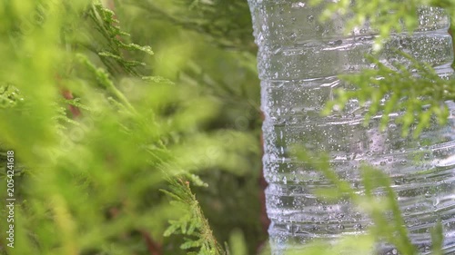 Ultra HD 4K close-up video of a transparent plastic bottle partially hidden among lush green vegetation.